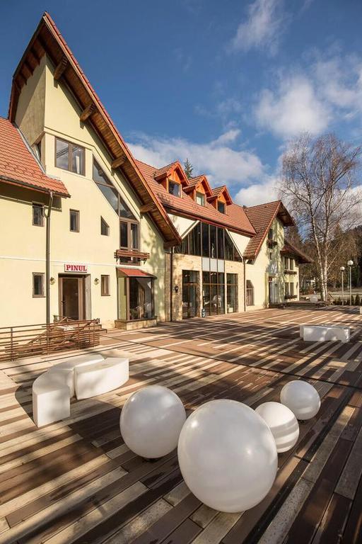 Vila Pinul Si Mesteacanul Hotel Poiana Brasov Exterior photo